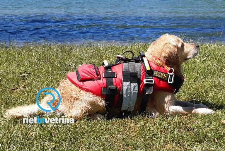 Al Lago del Salto esercitazione della SICS – Scuola Italiana Cani Salvataggio