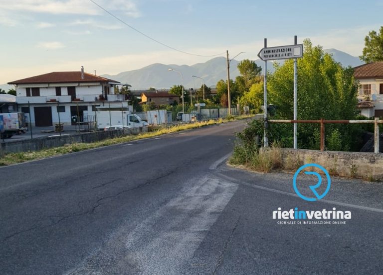 SEI TU IL REPORTER – In via Pistignano una pianta rende pericoloso l’incrocio con la Tancia