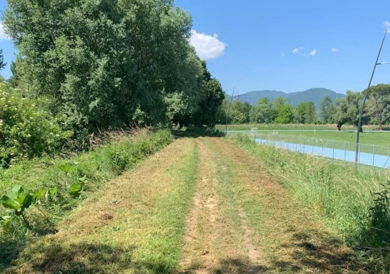 Verde urbano, il Comune di Rieti interviene sull’argine del Velino nonostante non sia di sua competenza