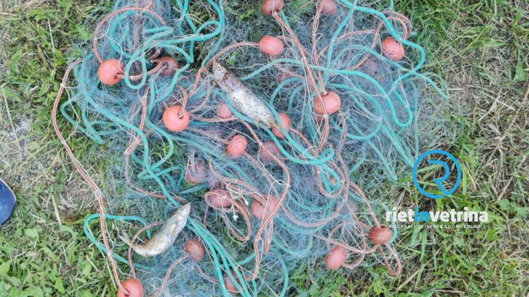 Segnalata ai Carabinieri Forestali pesca di frodo nel Fiume Canera