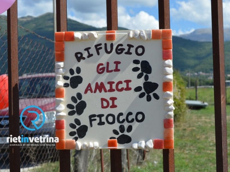 Furto al Rifugio per cani Amici di Fiocco