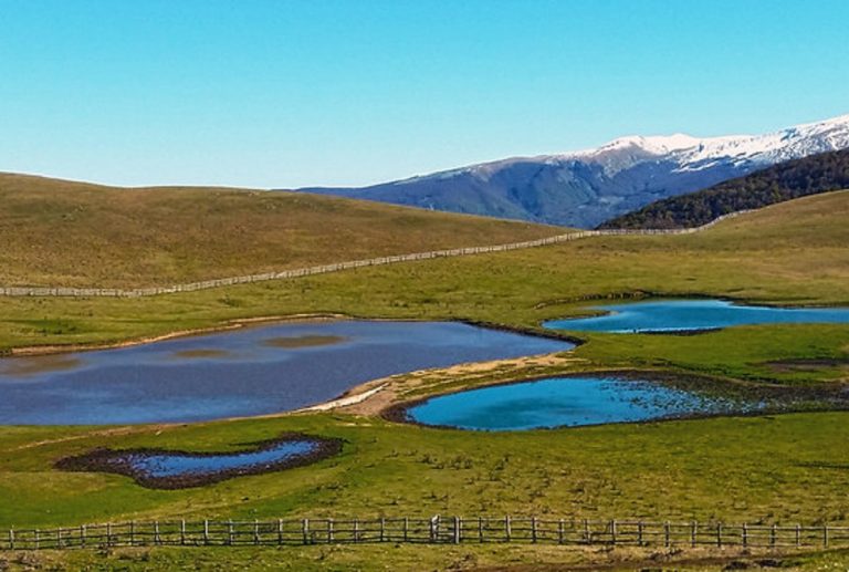 Al via il progetto “Accumoli e le sue radici”