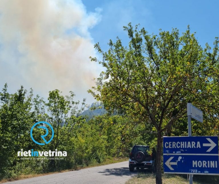 In fiamme il bosco di Cerchiara. Sul posto i Vigili del Fuoco