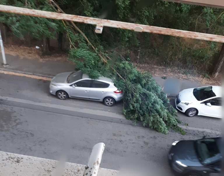 Maltempo Rieti, ramo cade su auto posteggiata