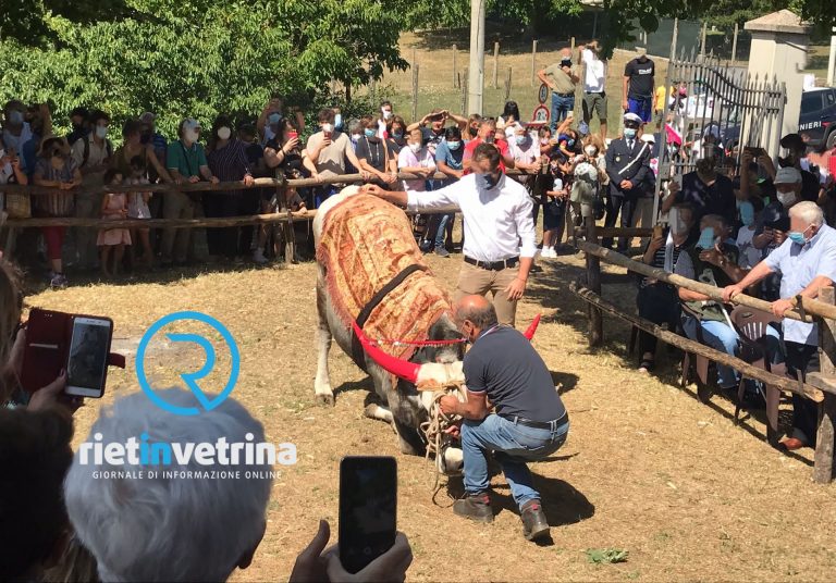 A Bacugno toro ossequioso di fronte alla Madonna della Neve