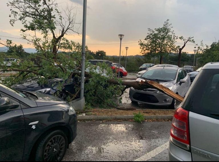 Maltempo, albero cade su un’auto posteggiata al de Lellis