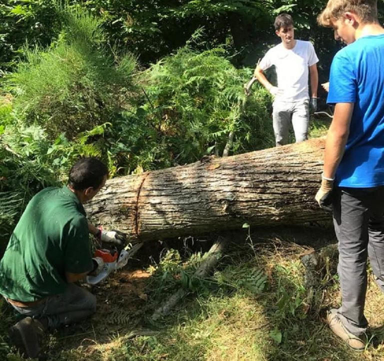 Volontari puliscono tre sentieri sul Monte Giano: “Comune di Antrodoco o ditte specializzate potete aiutarci?”