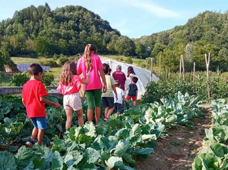 Un successo l’evento borbontino per bimbi “La visita all’orto di Mary”. Ed il 3 agosto nuovo appuntamento