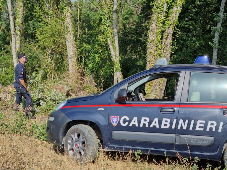 Bosco estirpato senza autorizzazione. Carabinieri denunciano 60enne