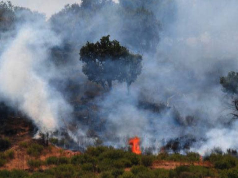 Incendio boschivo a poca distanza da Farfa