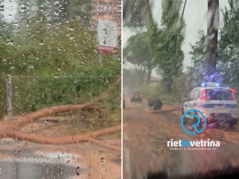 Rallentamenti sulla Terminillese per un ramo caduto in strada