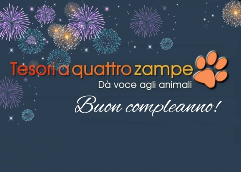 Oggi 19 settembre 2021 Tesori a quattro zampe.it compie 7 anni