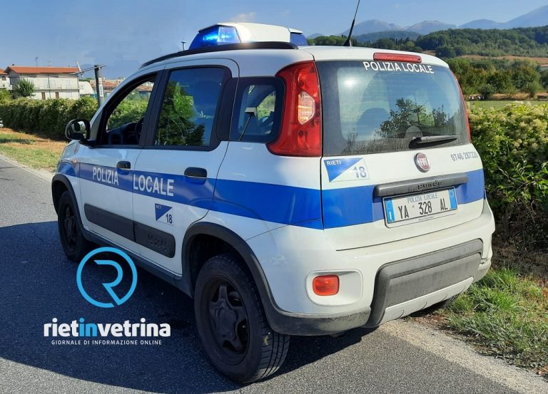 Incidente a Chiesa Nuova. Coinvolti un cane e due auto