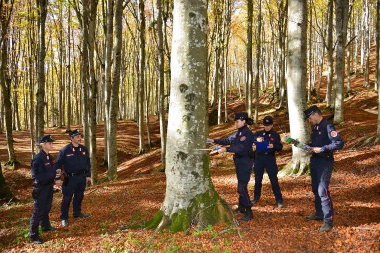 I Carabinieri Forestali ancora una volta impegnati nel rilevare lo stato di salute delle foreste reatine