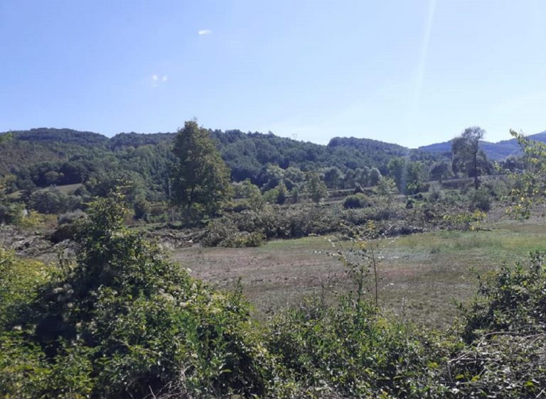 Iniziati i lavori di ripulitura del Fiume Velino nel Comune di Cittareale