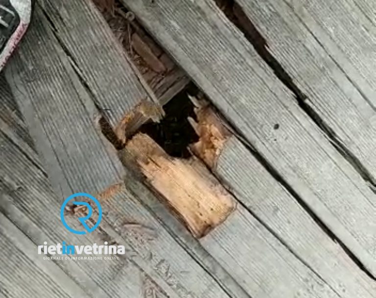 SEI TU IL REPORTER – Assi mancanti o rotte sul ponte in zona Cavatella