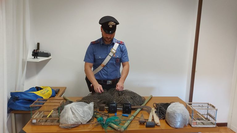 Belmonte in Sabina, Carabinieri denunciano due persone per maltrattamento di animali e uccellagione illegale