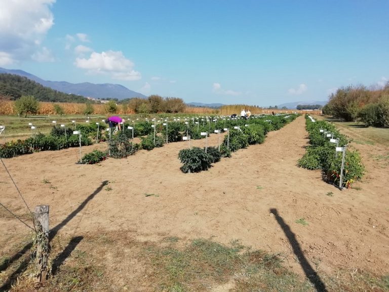 Sabato 14 ottobre open day al Campo Catalogo del Centro Appenninico