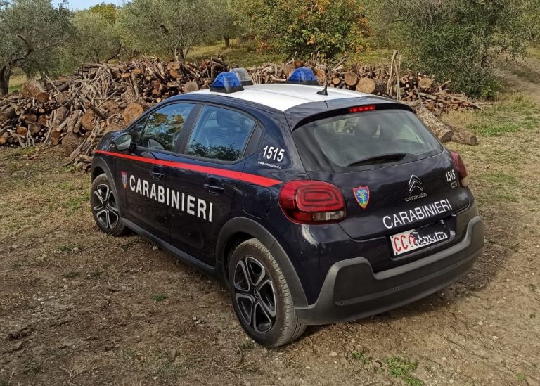 Sequestrato cantiere forestale per danneggiamento di beni paesaggistici