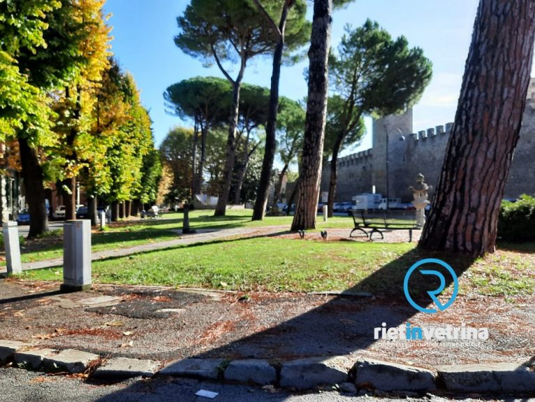 SEI TU IL REPORTER – European Consumers: “A Rieti si abbattono alberi imponenti per piantare alberelli”