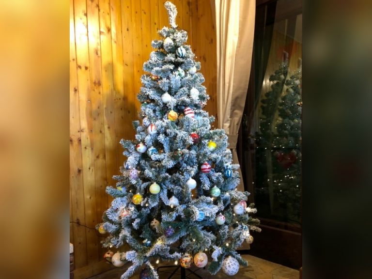Tre giorni a Villa Rosina con i primi ospiti,  sei adolescenti in arrivo dal Bambin Gesù: “Possiamo ritornare?”