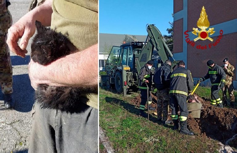 Pompieri salvano gattino intrappolato in una conduttura sotterranea all’aeroporto Ciuffelli