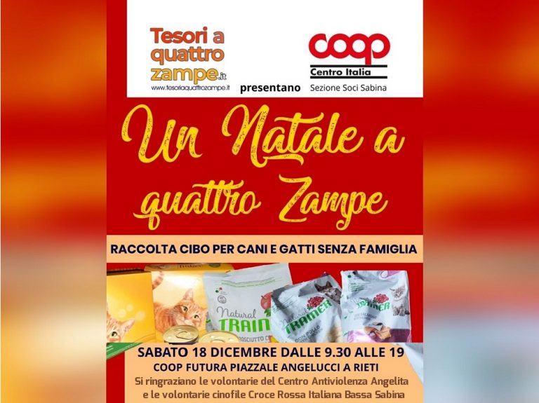 Sabato 18 dicembre a Rieti grande raccolta cibo per cani e gatti senza casa