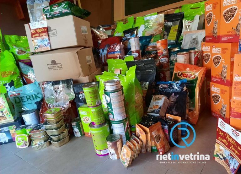Guerra in Ucraina, attivata da Rieti raccolta cibo, medicinali e coperte per animali