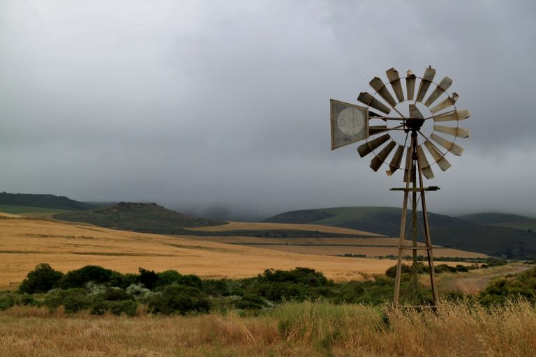 Agroenergie, nasce la cooperativa GAIA energia promossa dalla Copagri per sviluppare le rinnovabili nel mondo agricolo