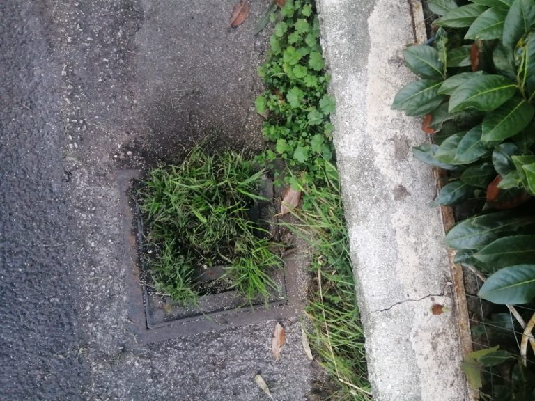 SEI TU IL REPORTER – Richiesta di bonifica caditoie ostruite in zona Villette