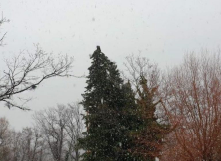 Neve a Torricella in Sabina