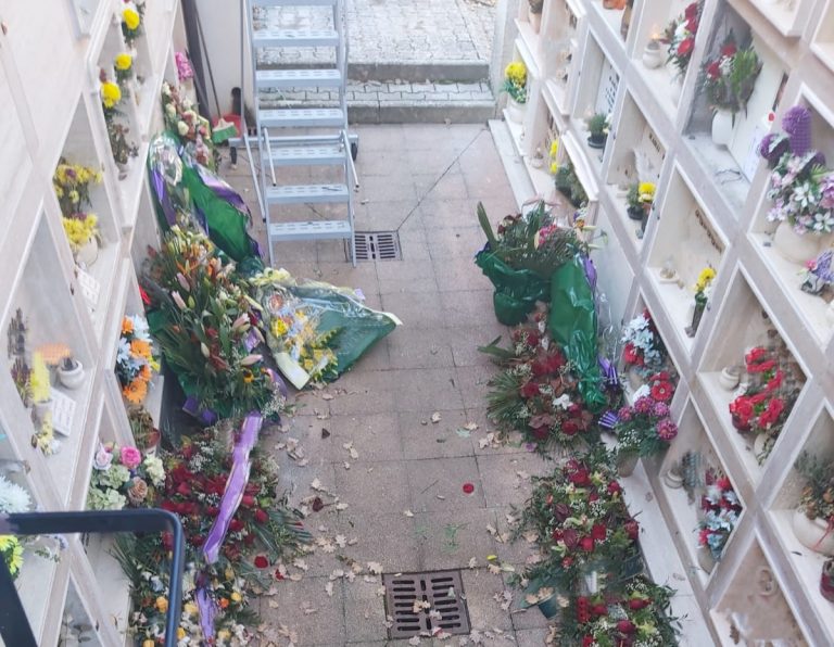 SEI TU IL REPORTER – “Nel cimitero di Cerchiara lapidi abbandonate ed ostali ovunque”