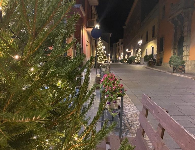“Adotta un pino”, l’iniziativa del Comune di Magliano Sabina