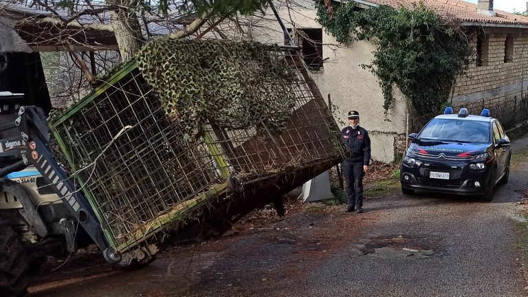 Carabinieri denunciano uomo per posizionamento di una gabbia trappola per la cattura illecita di animali selvatici