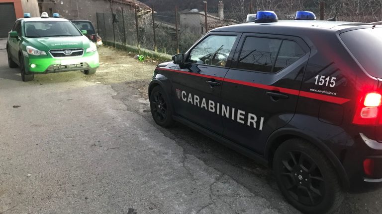 Montopoli di Sabina, denunciati due giovani per bracconaggio