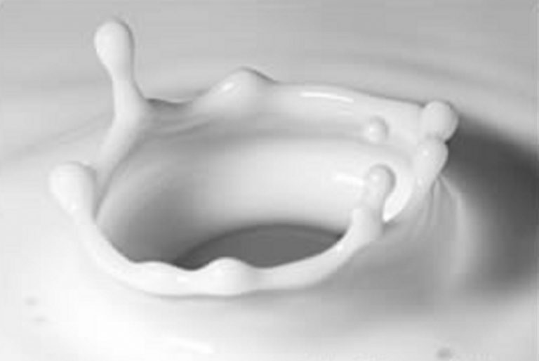 Latte, Confeuro: “Bene campagna Ministero ma serve educazione alimentare a scuole”