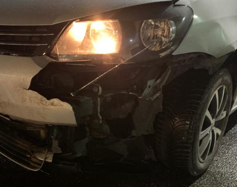 Auto contro branco di cinghiali in zona uscita Contigliano