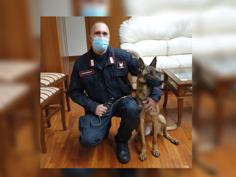 Unità Cinofila Antiveleno creata presso il gruppo Carabinieri Forestale di Rieti