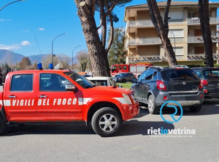 Vento forte, caduti rami in via Theseider nei pressi delle auto