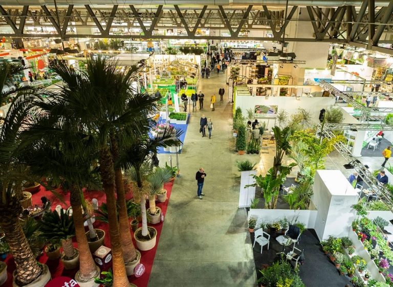Regione Lazio protagonista del mercato florovivaistico italiano. Quarta classificata comparto Fiori e Piante