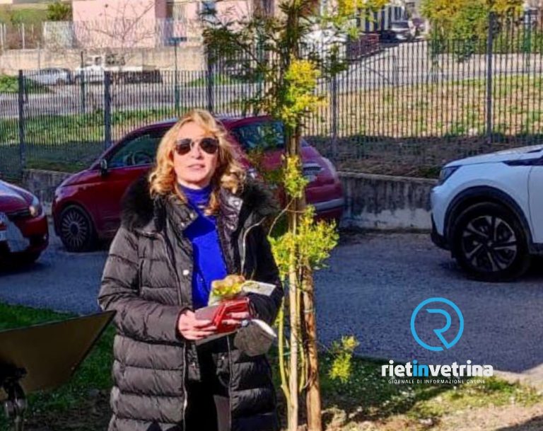 Festa della donna, a Fara in Sabina un albero di mimose nell’area verde antistante la delegazione comunale