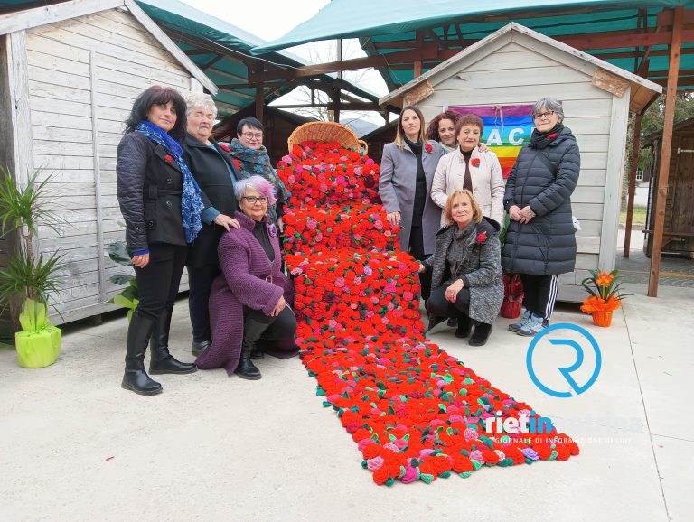Un fiume di oltre 800 rose cucite all’uncinetto per dire sì all’amore e alla pace