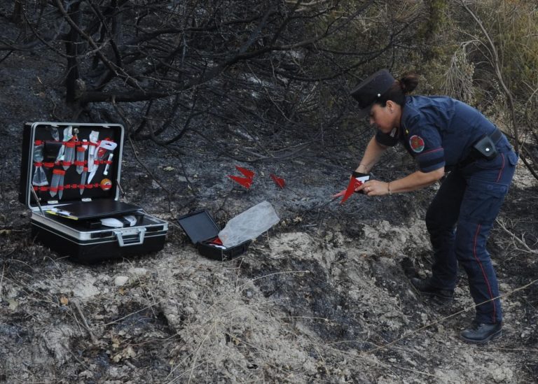 Incendi boschivi, prosegue l’attività di vigilanza dei Carabinieri Forestali