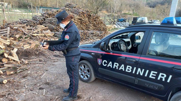Tagli boschivi senza autorizzazioni, resoconto operato Carabinieri: nel 2021 irrogate sanzioni per 80.000 euro