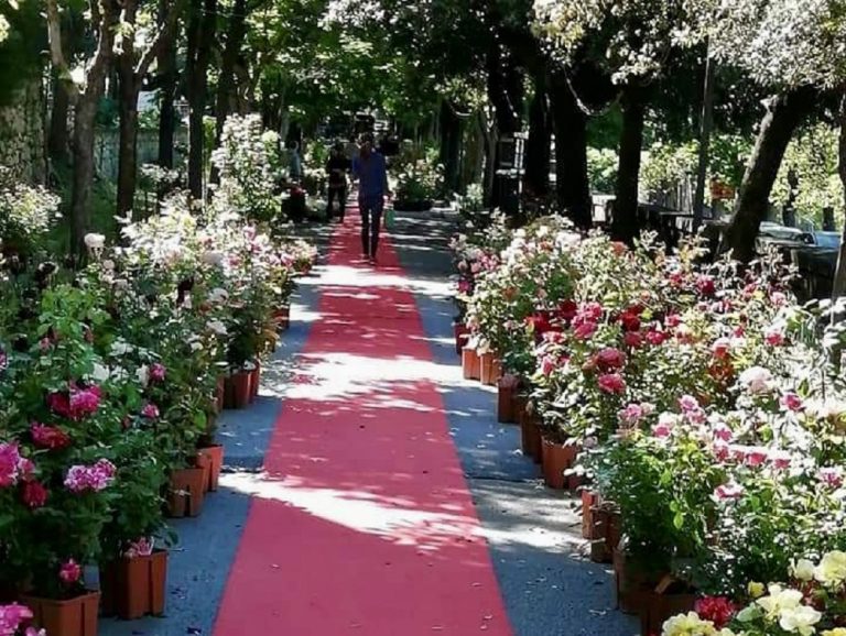 Fara in Sabina da maggio a giugno si trasformerà in “Fara Città in Fiore”
