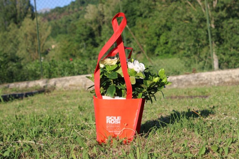 “Bentornata Gardensia”, dall’8 al 10 marzo lottiamo insieme contro la Sclerosi Multipla
