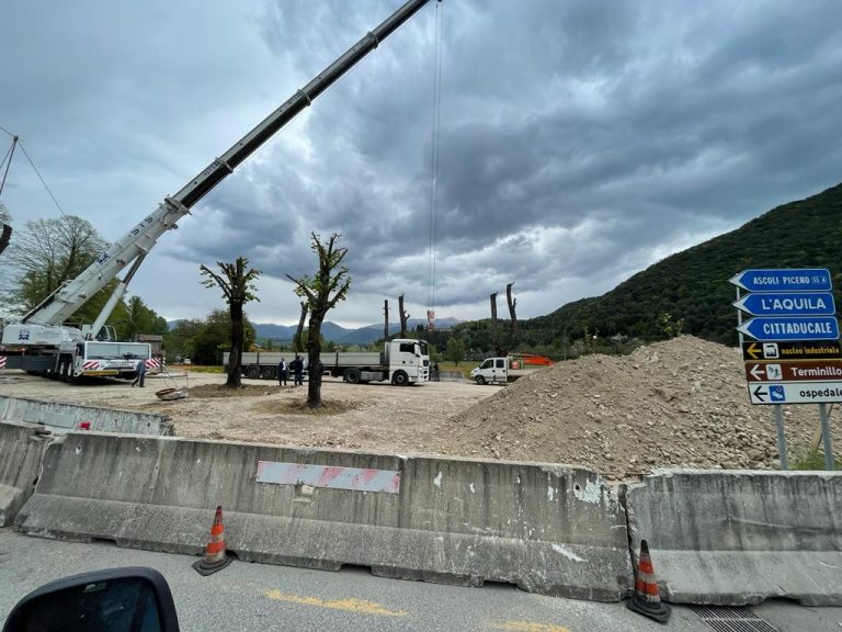 Nuova rotatoria bivio Fonte Cottorella, messi a dimora gli alberi