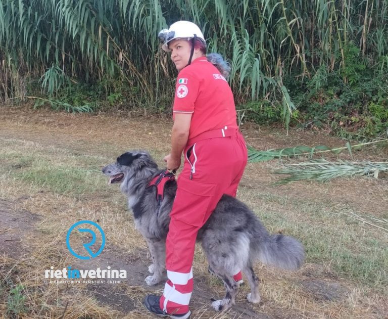 Festa della Mezzaluna Rossa, l’8 maggio a Passo Corese con la CRI Bassa Sabina