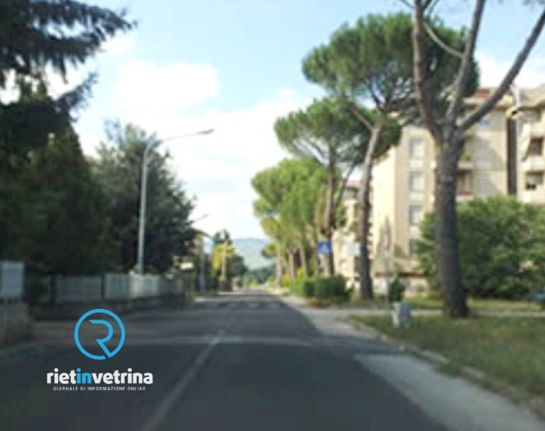 SEI TU IL REPORTER – “A Quattro Strade investito un cane per l’alta velocità delle auto. Serve un deterrente”