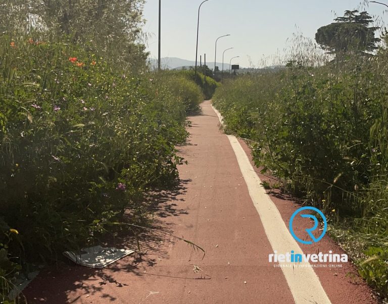 SEI TU IL REPORTER – “Per favore, tagliate l’erba in viale Fassini”
